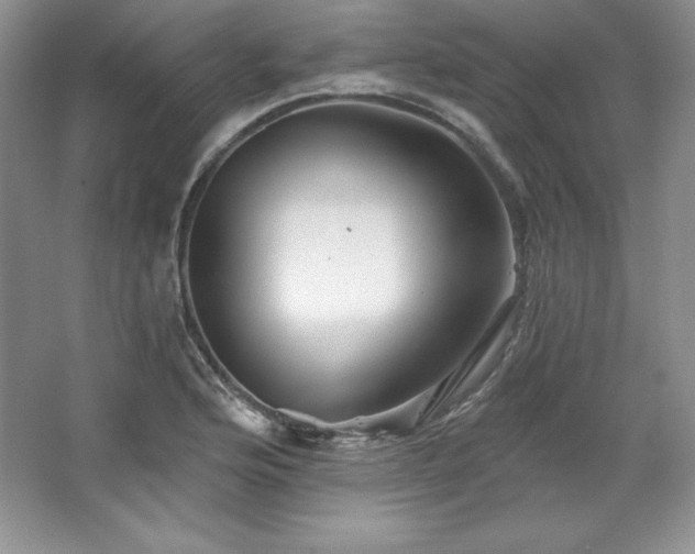 X0000067841176200604171145