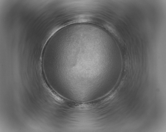 X0000067841178200604171145