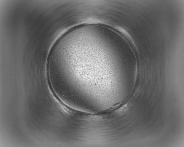 X0000067841183200604171145
