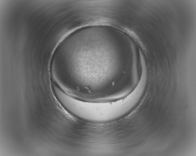 X0000067841184200604171145