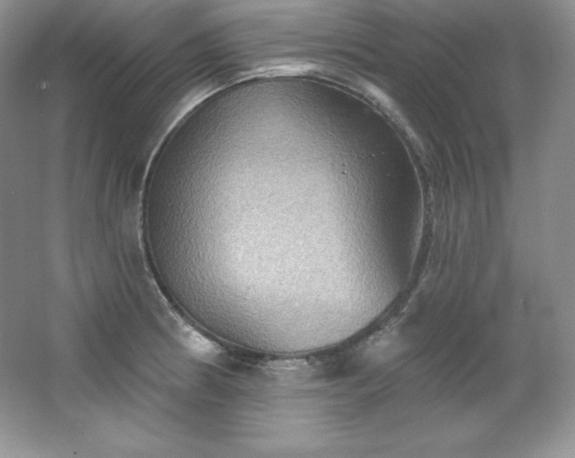 X0000067841186200604171145