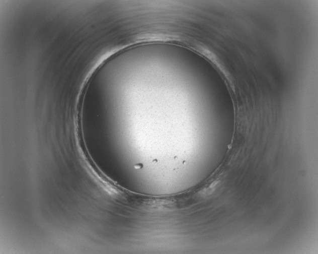 X0000067841187200604171145