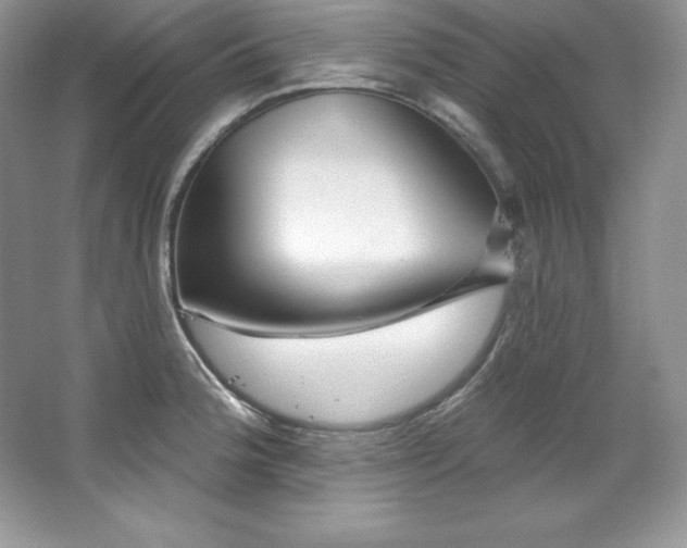 X0000067841188200604171145