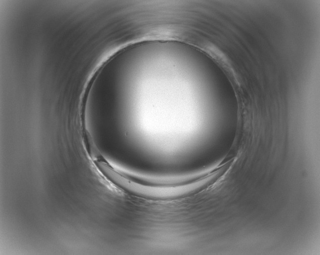 X0000067841192200604171145