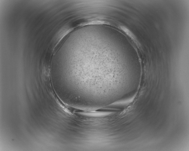 X0000067841193200604171145