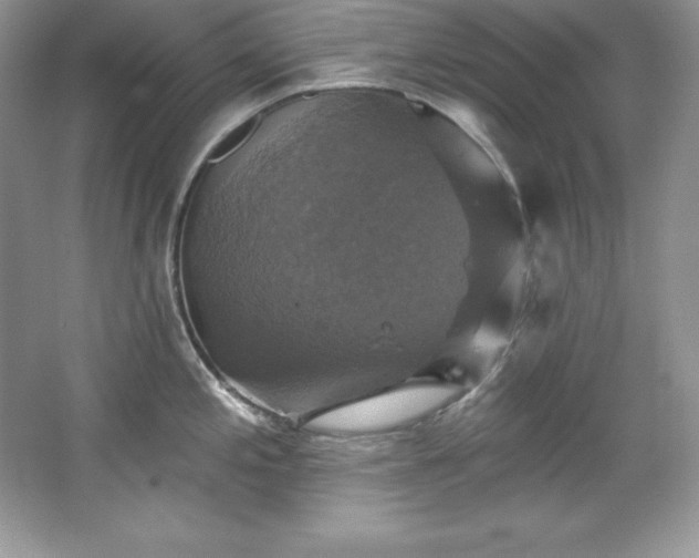 X0000067841197200604171145
