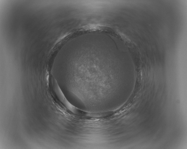 X0000067841206200604171144