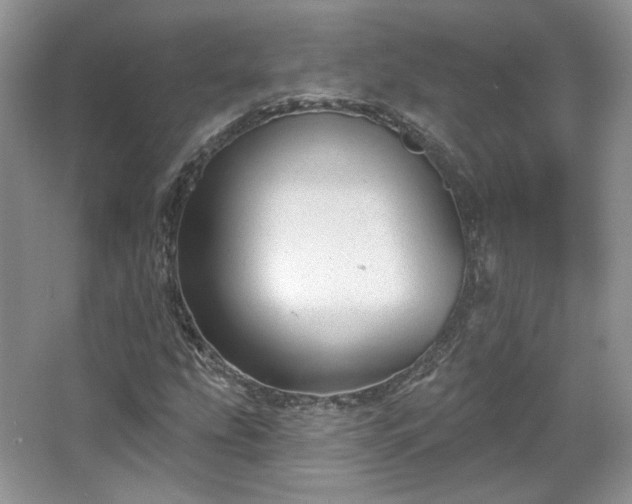 X0000067841207200604171144