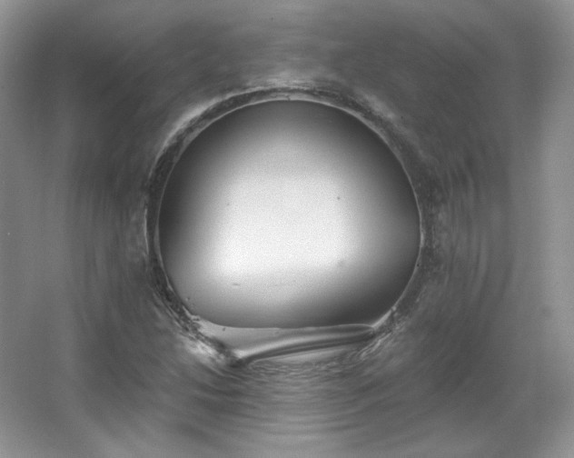 X0000067841214200604171144