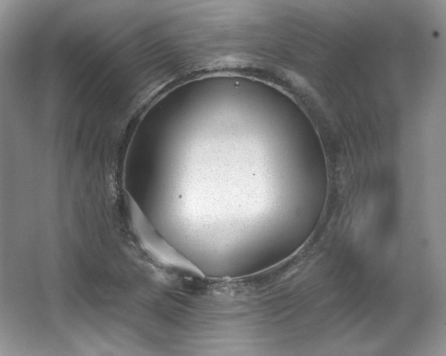 X0000067841217200604171144