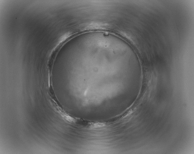 X0000067841219200604171144