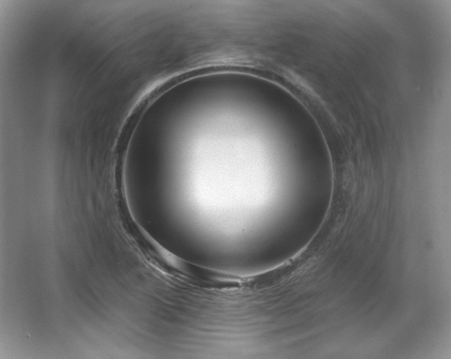 X0000067841222200604171144