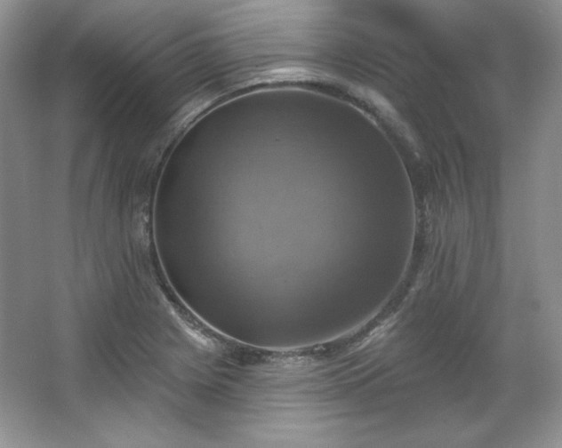 X0000067841225200604171144