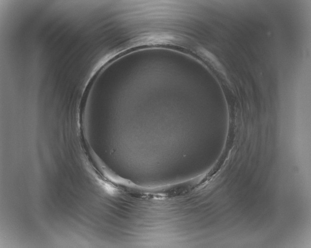 X0000067841226200604171144