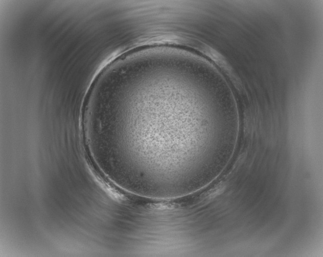 X0000067841234200604171144