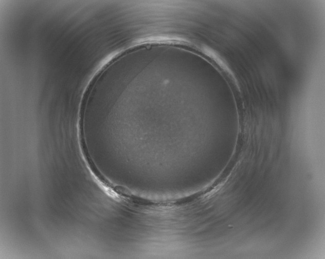 X0000067841237200604171144