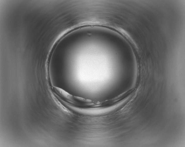 X0000067841238200604171144