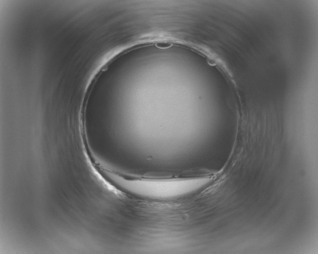 X0000067841239200604171144