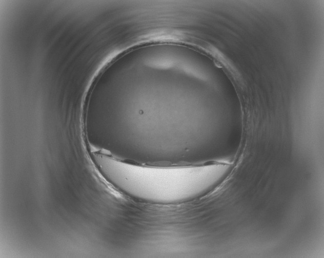 X0000067841240200604171144
