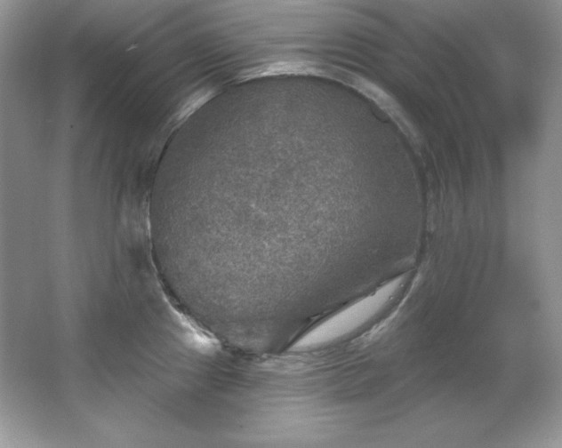 X0000067841241200604171144