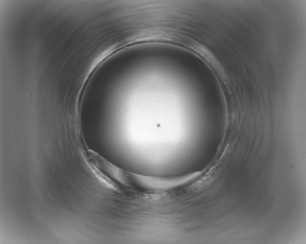 X0000067841242200604171144