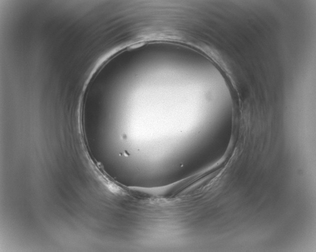 X0000067841246200604171144