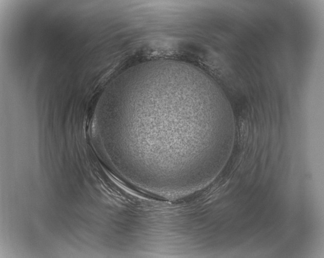 X0000067841250200604171144