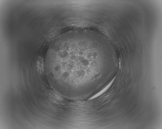 X0000067841251200604171144