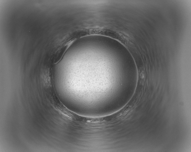X0000067841252200604171144