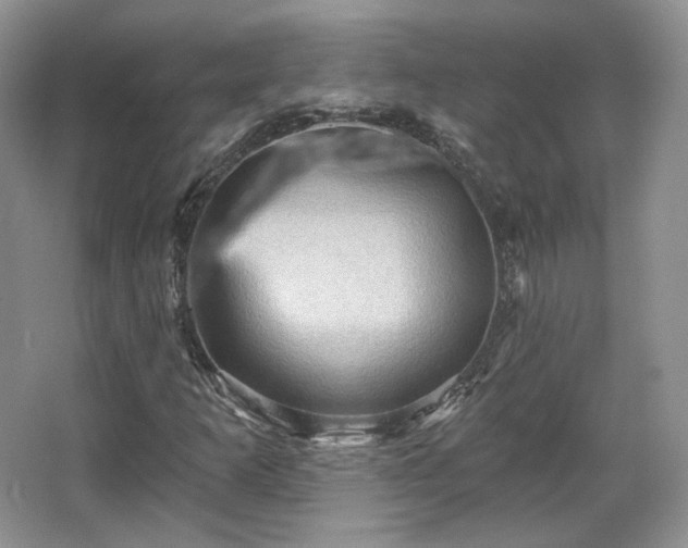 X0000067841253200604171144