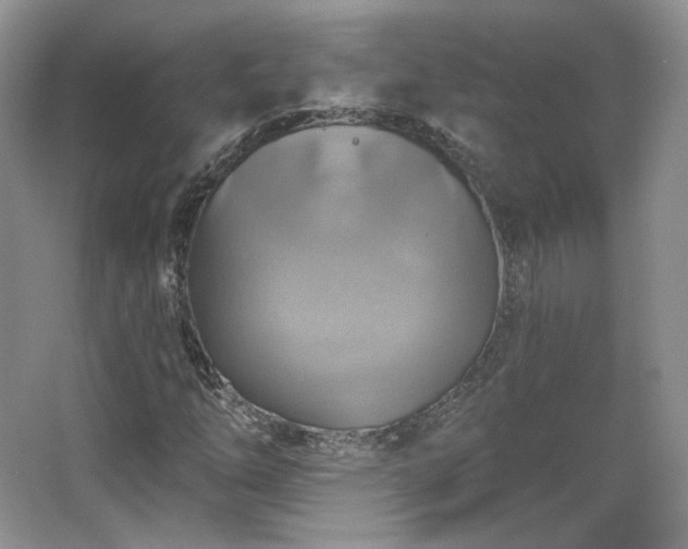 X0000067841254200604171144