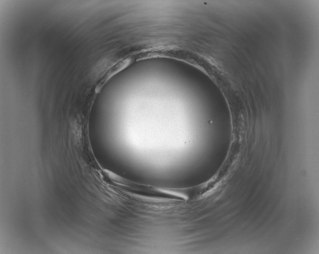 X0000067841257200604171144