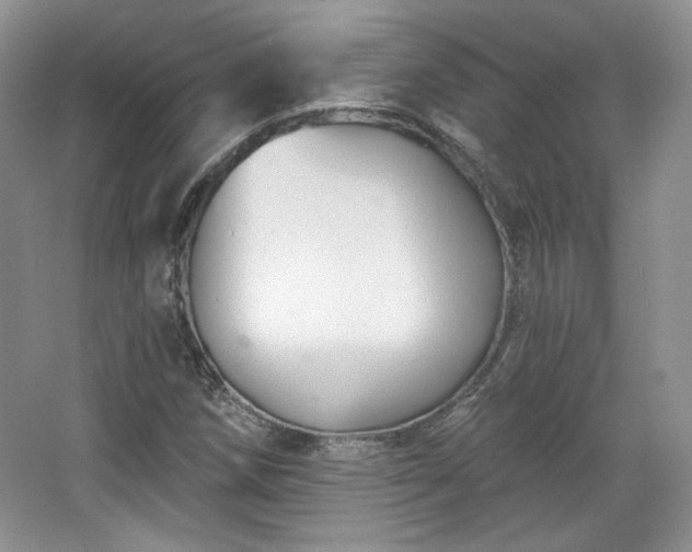 X0000067841258200604171144