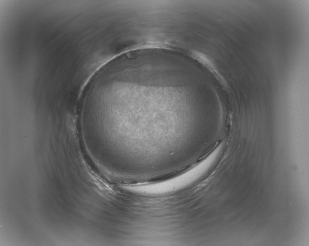X0000067841260200604171144