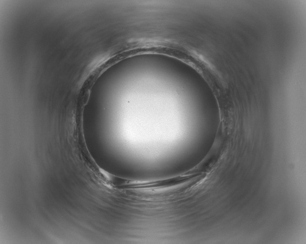 X0000067841261200604171143