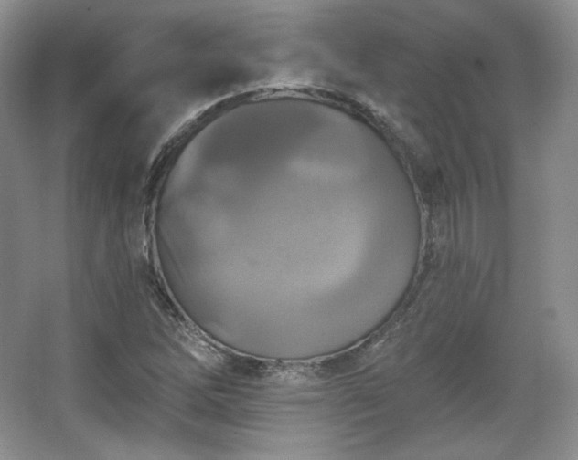 X0000067841262200604171143