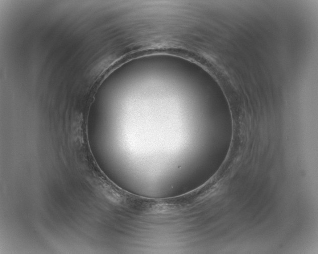 X0000067841265200604171143
