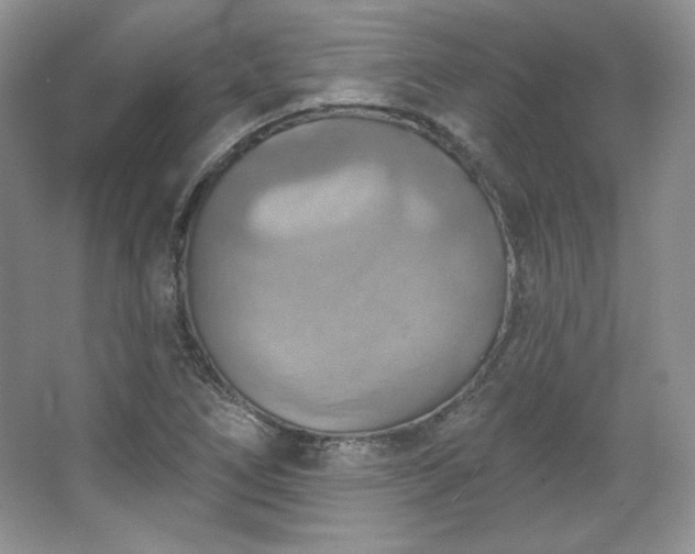 X0000067841266200604171143