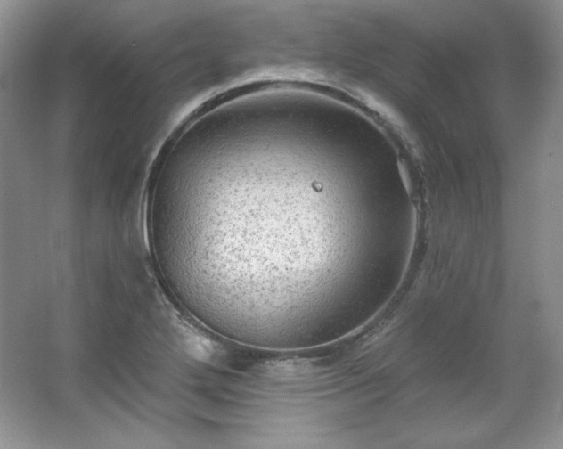 X0000067841272200604171143