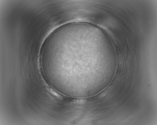 X0000067841278200604171143