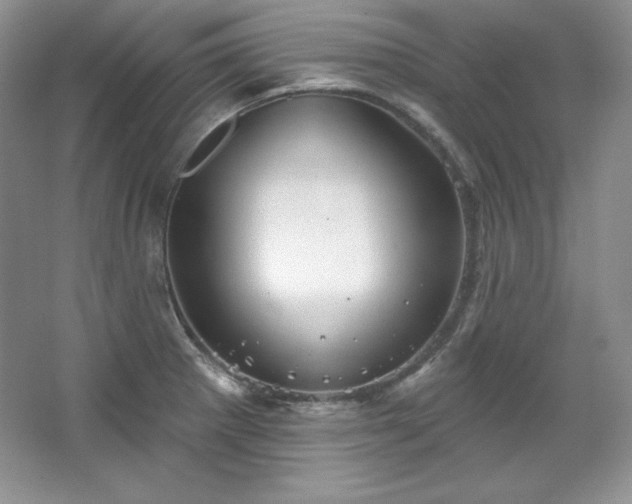 X0000067841281200604171143
