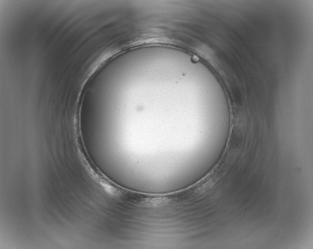 X0000067841282200604171143