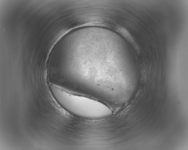 X0000067841284200604171143