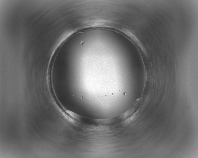 X0000067841285200604171143