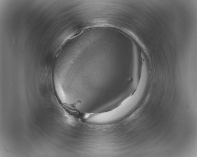 X0000067841289200604171143