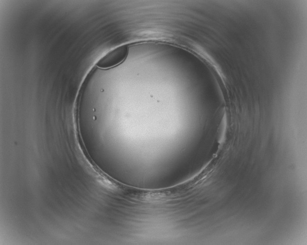X0000067841291200604171143