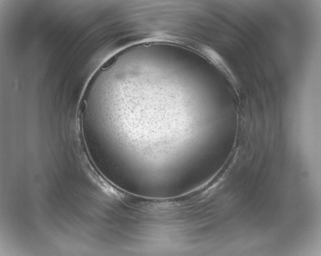 X0000067841292200604171143