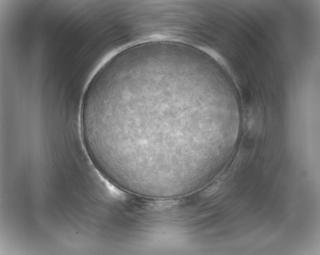 X0000067841294200604171143