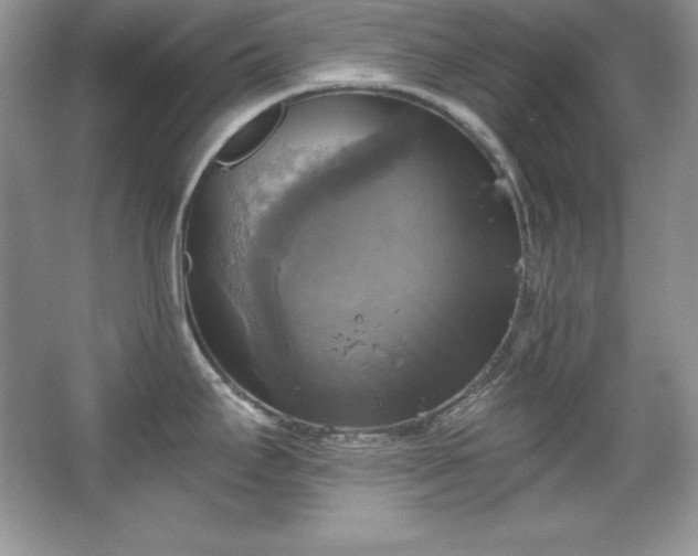 X0000067841295200604171143