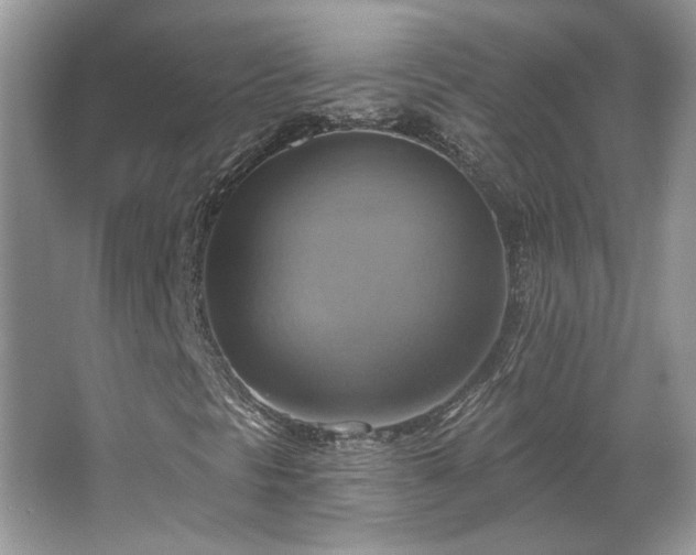 X0000067841297200604171142